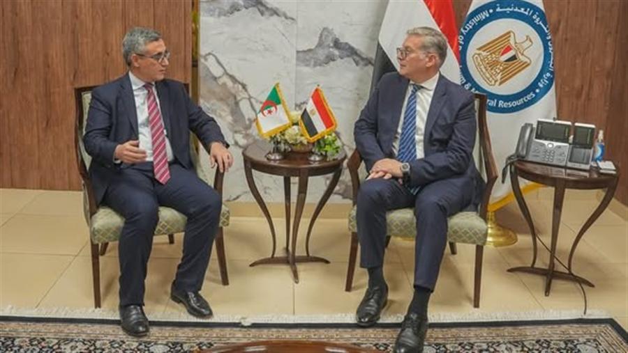 Egypt, Algeria probe enhancing cooperation in energy sector

